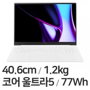 LG전자 그램 프로16 16Z90SP-KAOWK (SSD 512GB)